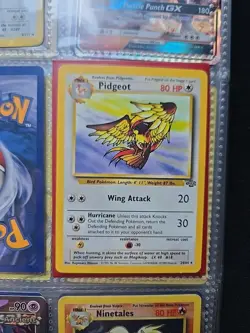 1999 WOTC Pokemon Card Pidgeot Non-Holo Rare 24/64 Jungle Set NM/M Condition - Image 1
