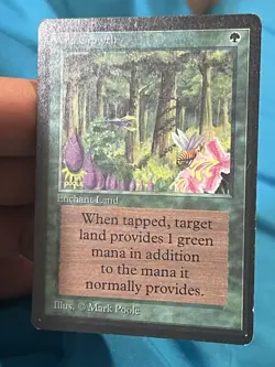 Magic The Gathering Lot Of 11 Beta Cards - Image 4