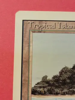 Tropical Island Revised Edition MTG Magic the Gathering Dual Jesper Myrfors - Image 4