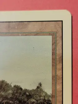 Tropical Island Revised Edition MTG Magic the Gathering Dual Jesper Myrfors - Image 5