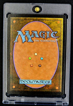 1996 MTG Magic The Gathering Alliances Wild Aesthir White Vintage Magic Card - Image 2