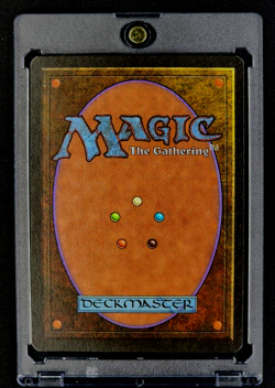 1996 MTG Magic The Gathering Alliances Variant #2 Fyndhorn Druid Vintage Card - Image 2