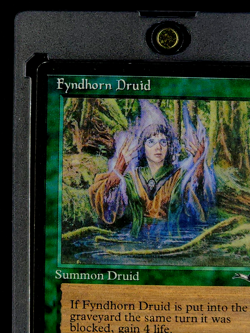 1996 MTG Magic The Gathering Alliances Variant #2 Fyndhorn Druid Vintage Card - Image 4