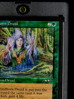 1996 MTG Magic The Gathering Alliances Variant #2 Fyndhorn Druid Vintage Card - Image 5