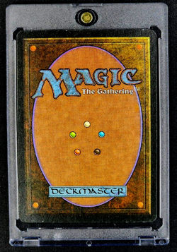 1995 MTG Magic The Gathering Chronicles Shield Wall Uncommon Vintage Card - Image 2
