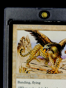 1996 MTG Magic The Gathering Mirage Teremko Griffin Vintage Card *Only Printing* - Image 4