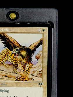 1996 MTG Magic The Gathering Mirage Teremko Griffin Vintage Card *Only Printing* - Image 5