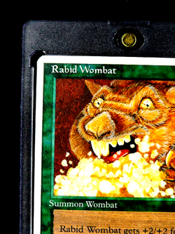 1995 MTG Magic The Gathering Chronicles 67 Rabid Wombat Uncommon Vintage Card - Image 4