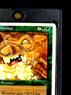 1995 MTG Magic The Gathering Chronicles 67 Rabid Wombat Uncommon Vintage Card - Image 5
