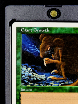 1998 MTG Magic The Gathering Anthologies #55 Giant Growth Vintage Green Card - Image 3