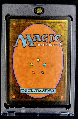 1996 MTG Magic The Gathering Alliances Bestial Fury Vintage Card Variant 2 Raabe - Image 2