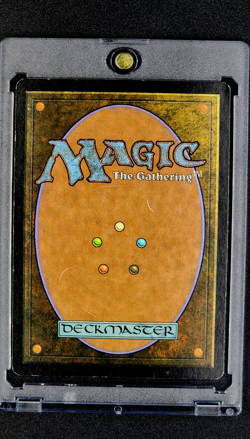 2001 MTG Magic the Gathering Deckmasters Woolly Spider Green Magic Card - Image 2