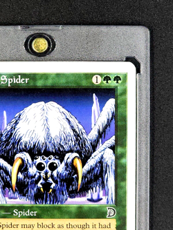 2001 MTG Magic the Gathering Deckmasters Woolly Spider Green Magic Card - Image 4