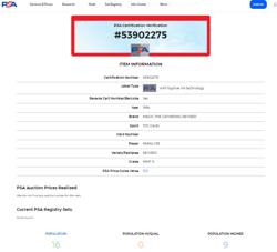 1994 MtG Magic the Gathering Revised Paralyze PSA 9 Mint *Only 9 Graded Higher* - Image 3