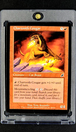 2003 MTG Magic The Gathering Scourge #84 Chartooth Cougar *First Printing* - Image 1