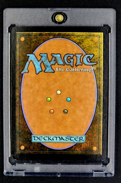 2003 MTG Magic The Gathering Scourge #84 Chartooth Cougar *First Printing* - Image 2