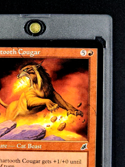 2003 MTG Magic The Gathering Scourge #84 Chartooth Cougar *First Printing* - Image 5