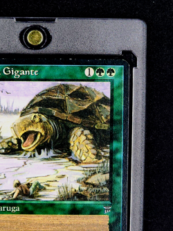 1995 MTG Magic The Gathering Italian Tartaruga Gigante / Giant Turtle Vintage - Image 5