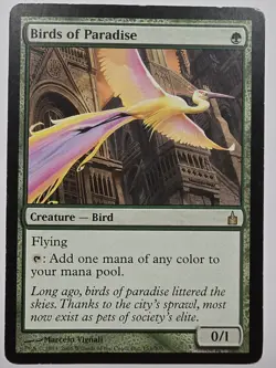 Birds of Paradise Ravnica: City of Guilds Regular - Image 1