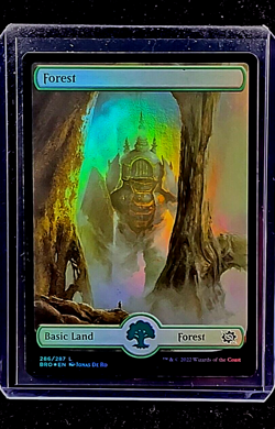 2022 Magic the Gathering BRO The Brother's War Foil #286 Forest Green Land WOTC - Image 1