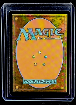 2022 Magic the Gathering BRO The Brother's War Foil #286 Forest Green Land WOTC - Image 2