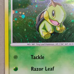 Pokemon TCG Turtwig Holo DP01 Promo SWIRL Diamond And Pearl 2007 NM Near Mint - Image 2