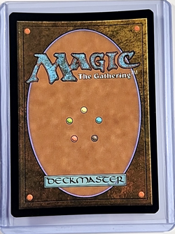 2022 MTG Magic the Gathering Secret Lair Drop Foil #1002 Patron Wizard WOTC Card - Image 2