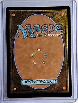 2024 MTG Magic the Gathering FDN Foundations Foil #262 Evolving Wilds WOTC Card - Image 2