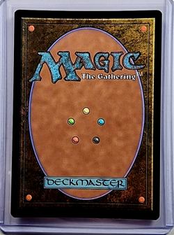 2021 MTG Magic the Gathering Secret Lair Foil #504 Blast Zone WOTC Land Card - Image 2