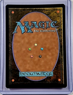 MTG Magic the Gathering Secret Lair 30th Countdown Foil #2017 Path of Ancestry - Image 2