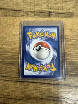 Lileep Illustration Rare Card 145/142 Stellar Crown Full Art Pokemon Grass Type - Image 2