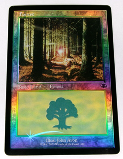MTG | Forest (410) (Foil) (Retro Frame) | Dominaria Remastered | NM-M - Image 1