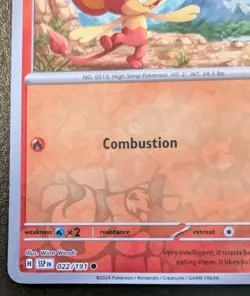 Pansear 022/191 Reverse Holo Common Scarlet & Violet: Surging Sparks Pokemon TCG - Image 4