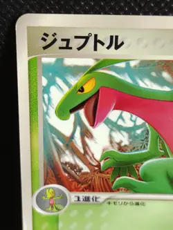 Grovyle 081/PCG-P McDonald's Promo Pokemon Card Japanese Vintage TCG - Image 2