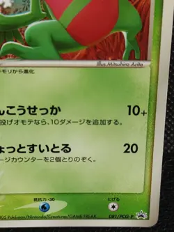 Grovyle 081/PCG-P McDonald's Promo Pokemon Card Japanese Vintage TCG - Image 4