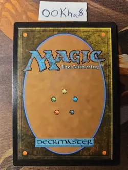 Plains *FOIL* Secret Lair Raining Cats and Dogs MTG NM 1513 - Image 2