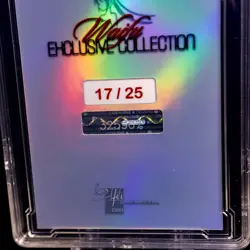 Shinobu Waifu Card Serial #17/25 LIMITED RELEASE Encased Custom Holo SLAB OMEGA - Image 4