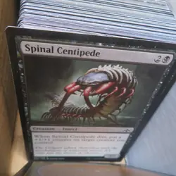 Magic The Gathering Card lot Creatures and Lands MTG - Image 3