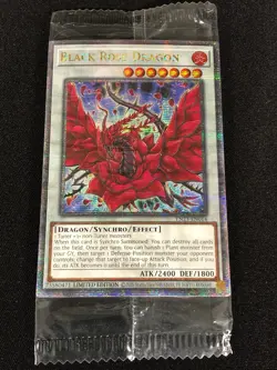 Yugioh Black Rose Dragon TN23-EN014 25th Secret (NM) Sealed - Image 1