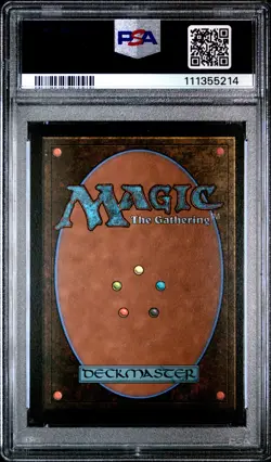 2023 MTG TALES OF MIDDLE-EARTH COMMANDER SURGE FOIL #407 FANGORN FOREST PSA 9 - Image 2