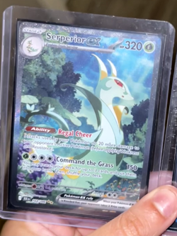 Serperior ex 164/086 Pokemon Scarlet and Violet Black Bolt Holo NM - Image 1