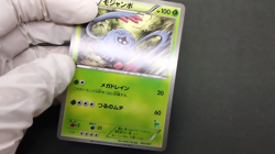 Tangela Tangrowth Everyone's Exciting Battle Promo 2012 LP Japanese Pokemon Card - Image 2