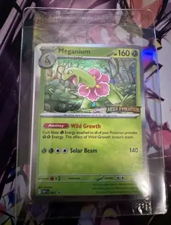 Pokemon mega evolution Staff Prerelease Promo Sealed Set Of 4 - Image 1