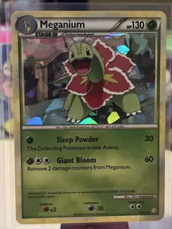 Pokemon TCG Meganium Heartgold & Soulsilver 26/123 Exclusive Cracked Ice Holo MP - Image 1