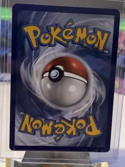 Morpeko SWSH031 Holo 2020 Pokemon TCG Black Star Promo NM SWIRL - Image 3