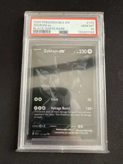 Pokemon 2025 Zekrom ex 172/086 Black White Rare Black Bolt GEM MINT PSA 10 - Image 1