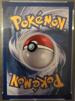 Pokemon Rayquaza - Pop Series 1 - 3/17 - PSA 10 - Image 4