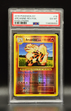 Arcanine Rev Foil PSA 6 Mint Evolutions 2016 Pokemon XY 18/108 Reverse Card - Image 1