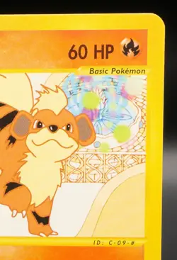 Pokemon TCG Card - Growlithe 51/147 Aquapolis Uncommon Vintage E-Reader - Image 3