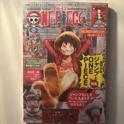Monkey D Luffy ST21-014 One piece magazine and promo card JAPAN EXCLUSIVE - Image 1